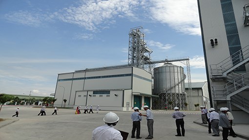 Nhà Máy Cargill Việt Nam Tại Bình Định