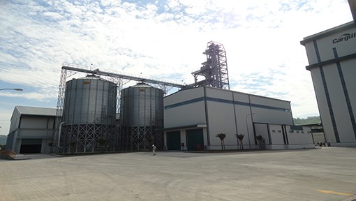 Nhà Máy Cargill Việt Nam Tại Bình Định