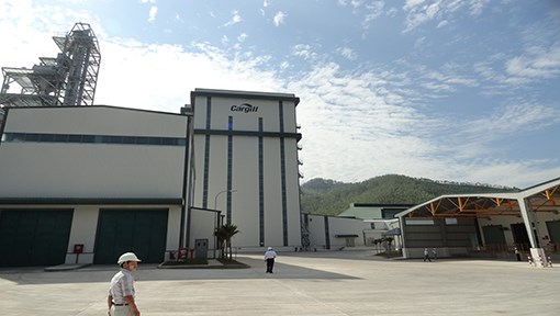 Nhà Máy Cargill Việt Nam Tại Bình Định