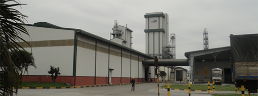Nhà Máy Cargill Việt Nam Tại Hưng Yên