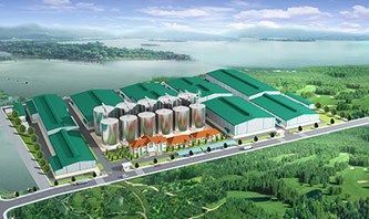 Nhà Máy Gạo Xuất Khẩu Giồng Găng