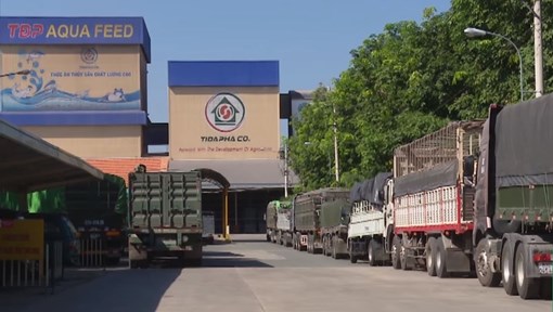 Nhà Máy Tiến Đại Phát