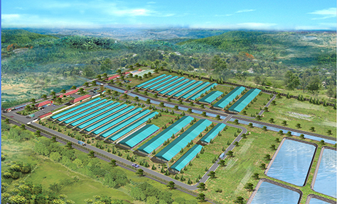 Trại Trung Chuyển Darby