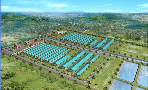 Trại Trung Chuyển Darby